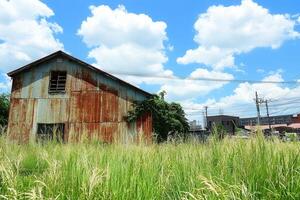 Abandoned building surrounded by tall grass and blue sky. photo