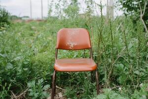 A solitary orange chair amidst overgrown greenery. photo