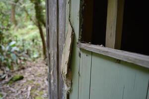 Close-up of a weathered building corner in nature. photo