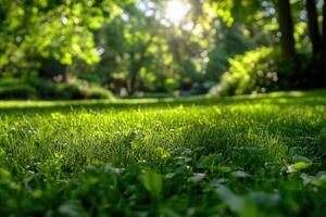 Lush green grass in a sunlit garden setting. photo