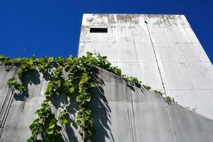 Concrete structure with greenery against a blue sky. photo