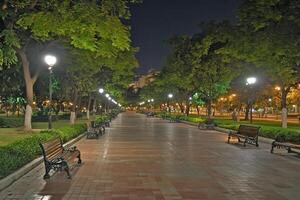Nighttime park pathway lined with benches and trees. photo