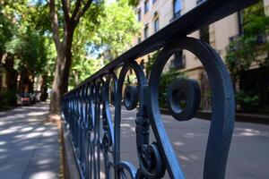 Ornate iron railing along a tree-lined street. photo