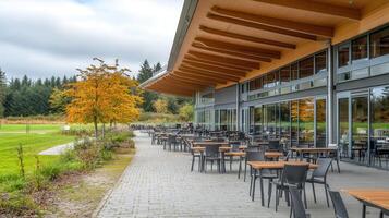 Autumn patio cafe, forest view, dining photo