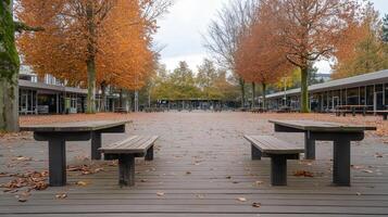 Autumn park benches, leaf-strewn plaza, campus background photo