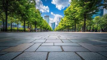 A street lined with trees and buildings in the background photo
