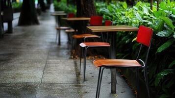 Empty cafe tables, city sidewalk, rain, green foliage, relaxation photo
