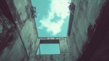 Ruined building, sky view, plants growing, urban decay photo