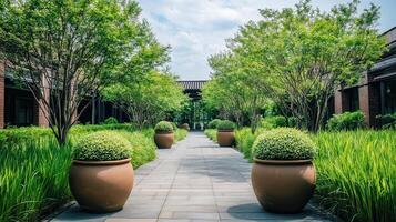 Serene garden path, potted plants, courtyard, tranquil background photo
