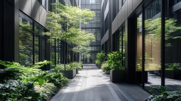 Sunlit urban courtyard garden path photo
