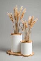 Two stacked white cylindrical containers with light brown wooden lids and pampas grass photo