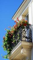Ornate Balcony with Vibrant Flowers - European Charm photo