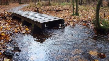 Autumnal Forest Creek with Wooden Footbridge photo