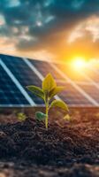 A New Beginning Sustainable Growth and Renewable Energy photo