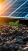 New Life Emerging From The Earth, Powered By Solar Energy photo