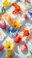 A Colorful Tulip Arrangement on Marble photo
