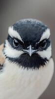 Close-up Portrait of a Bird with Intense Expression photo