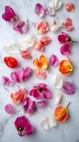 Delicate Tulip Petals on Marble Surface photo