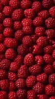 Close-up of Fresh Raspberries, Vibrant Red Berries photo