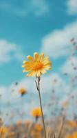 Radiant Yellow Flower Against a Azure Sky photo