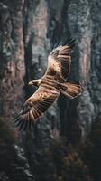 Majestic Eagle Soaring Above the Mountains photo