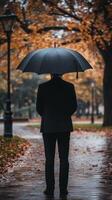 Rainy Day Stroll A Man Under an Umbrella photo