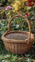 Organic Seeds in a Beautiful Garden Basket photo