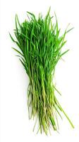 Fresh Green Grass - A Nutritious and Healthy Food photo