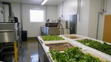 Modern Hydroponic Farming Facility with Fresh Produce photo