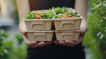 Eco-Friendly Meal Delivery in Sustainable Containers photo