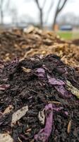Close-up View of a Rich, Organic Compost Pile photo