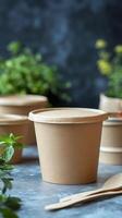 Eco-Friendly Disposable Paper Food Containers with Wooden Spoons photo