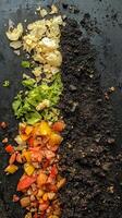 Composting Vegetable Scraps A Sustainable Approach to Waste Management photo