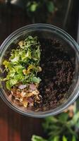 Composting Transforming Waste into Nourishment photo
