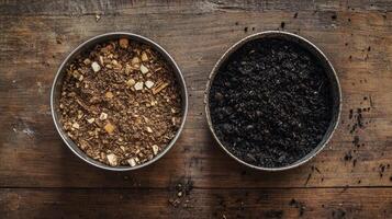 Comparing Different Soil Types for Optimal Plant Growth photo