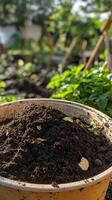 Rich Garden Soil in a Pot - Perfect for Planting photo