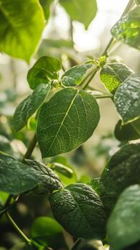 Close-up View of Vibrant Green Leaves photo
