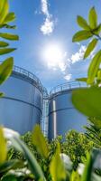 Industrial Storage Tanks Under Sunny Sky, Modern Facility photo