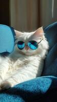 Stylish White Cat Wearing Sunglasses on a Cozy Sofa photo