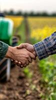 Farmers' Agreement in a Blooming Field photo
