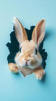 Adorable Baby Bunny Peeking Through a Hole in Paper photo