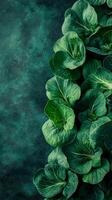 Deep Forest Green Leaves Nature's Lush Beauty photo