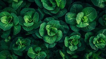 Intricate Green Leaf Pattern, Nature's Artistic Design photo
