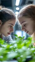 Two Young Girls Explore Nature's Secrets photo