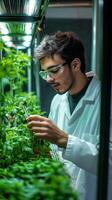 Scientist Examining Plants in a Controlled Environment photo