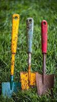 Colorful Vintage Garden Tools in Grass photo