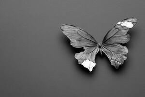 Black and White Butterfly Art photo