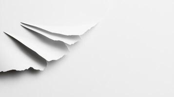 Textured White Paper Edge photo