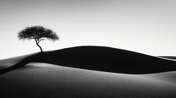 Lone Tree on a Desert Dune photo