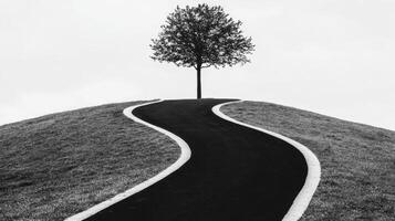 Solitary Tree and Winding Path on Grassy Hill photo